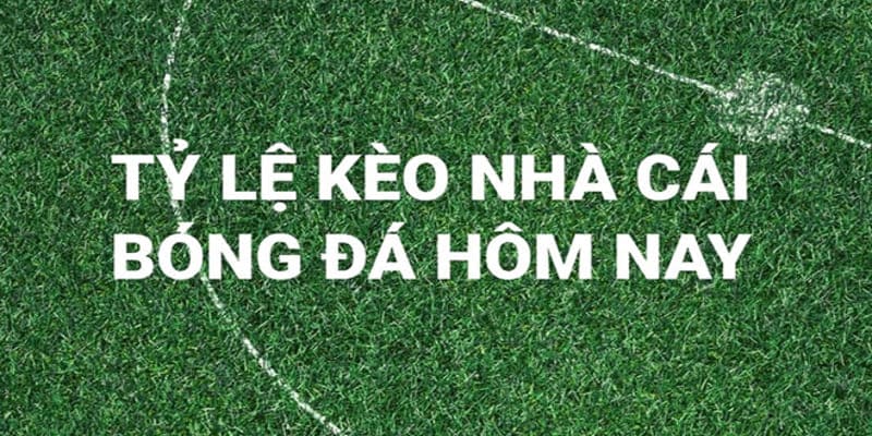 keo-nha-cai-33win99